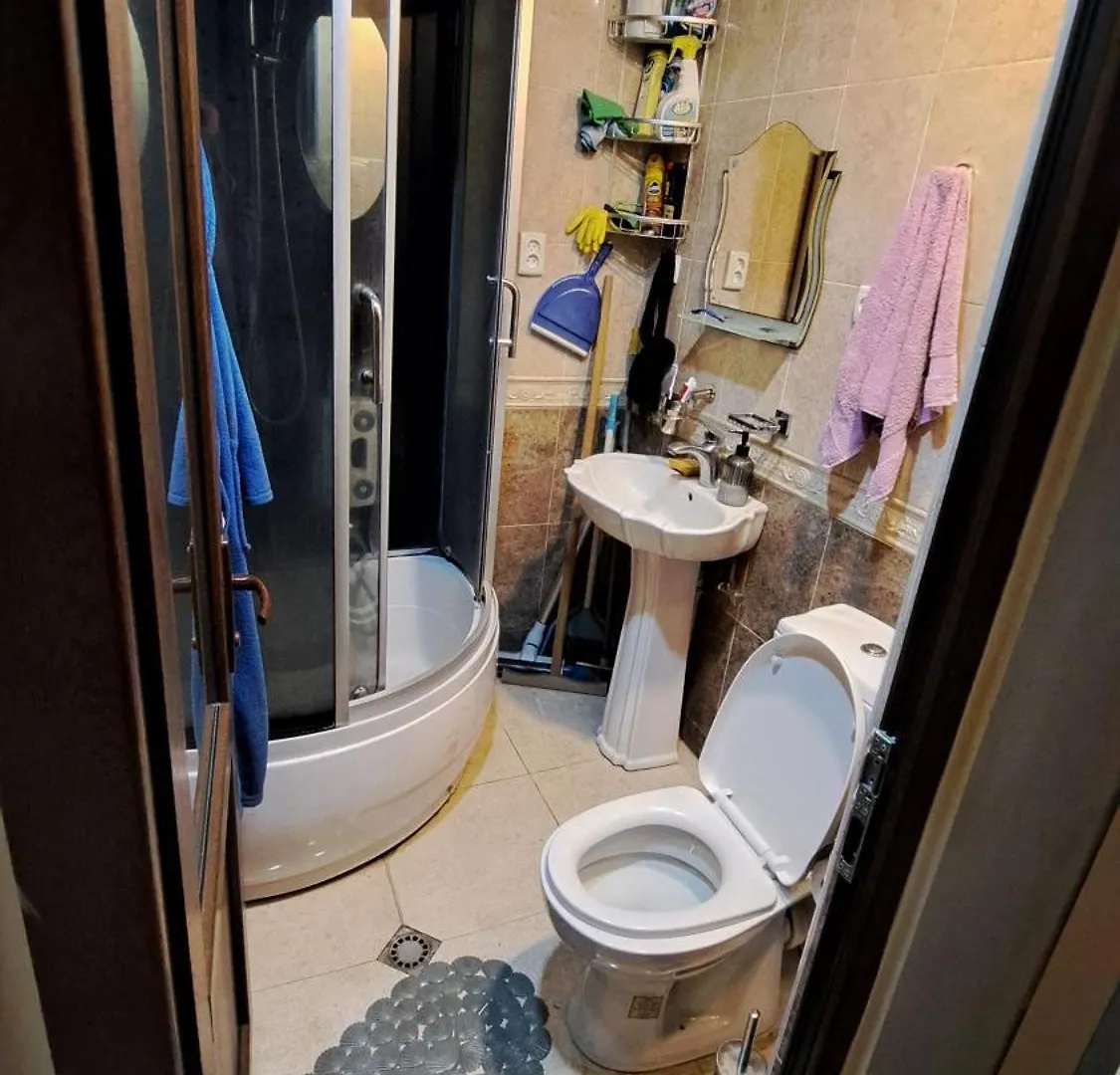 Flat Roommate In Tbilisi 0*,